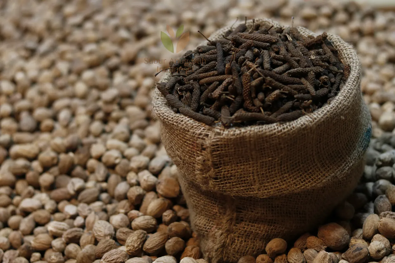 Cabe Jawa (2)