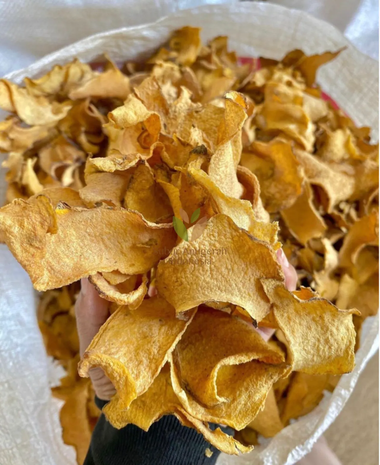 Porang (Keripik Kering) (2)