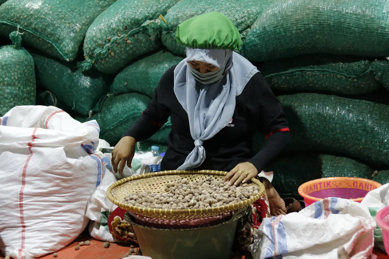 Nutmeg Grading