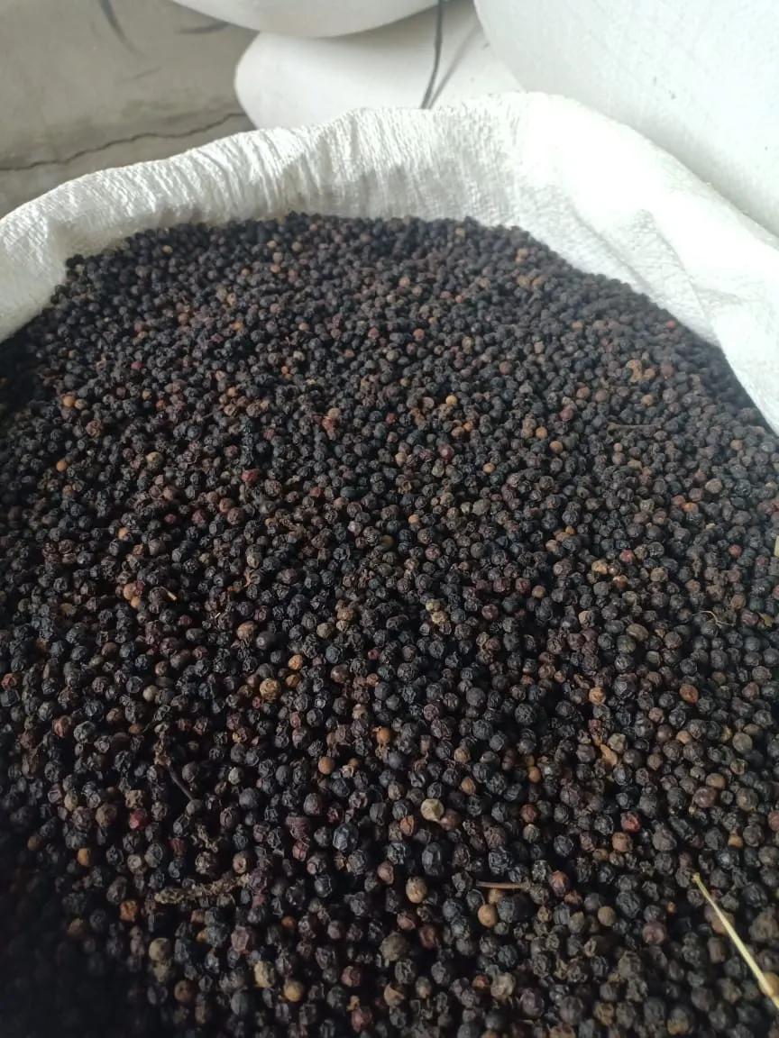 Black Pepper (2)