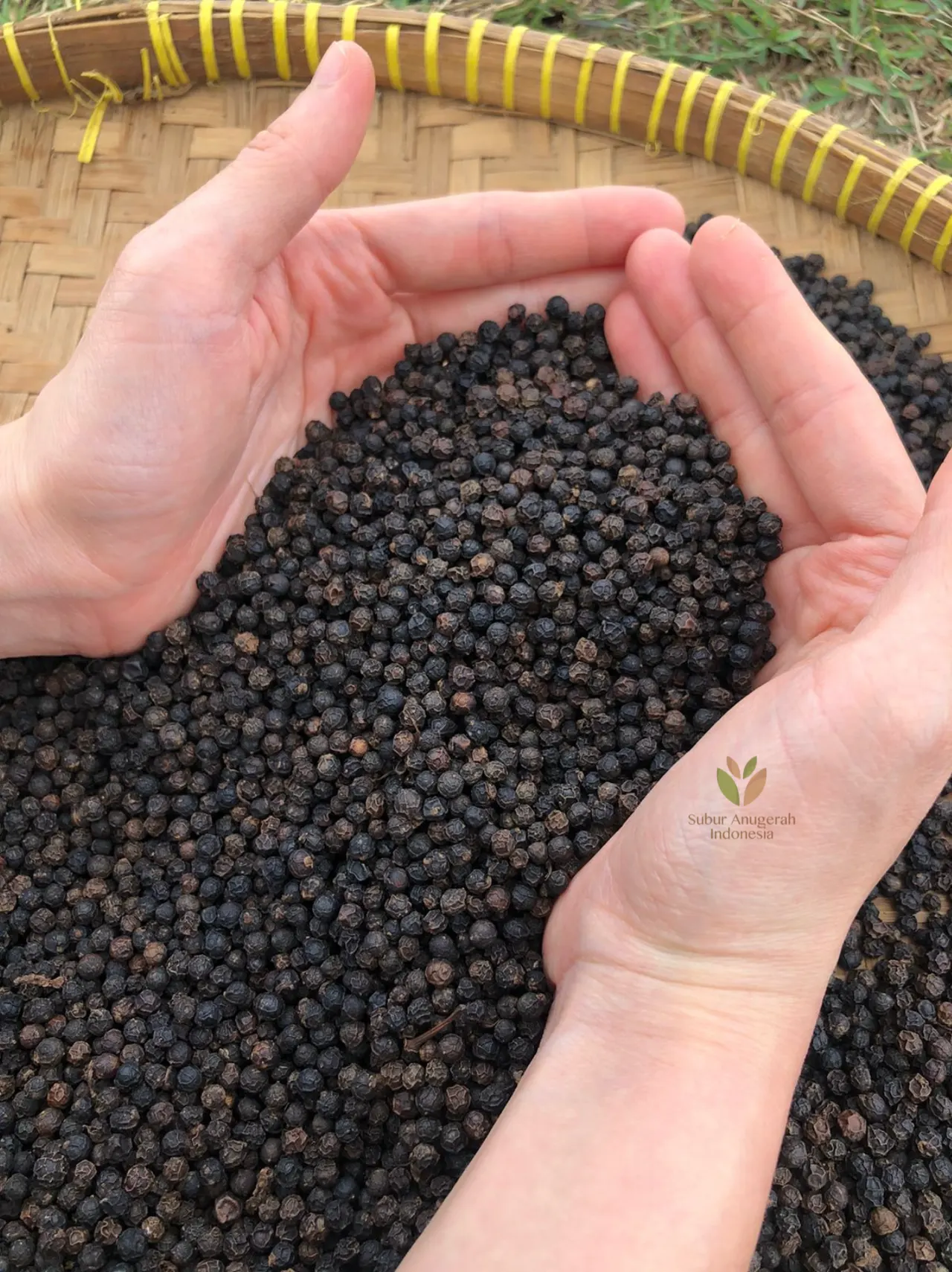 Black Pepper
