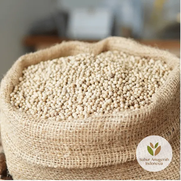 White Pepper (Standard & Muntok)